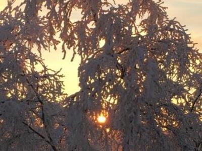 На территории Ненецкого автономного округа ожидаются аномальные морозы
